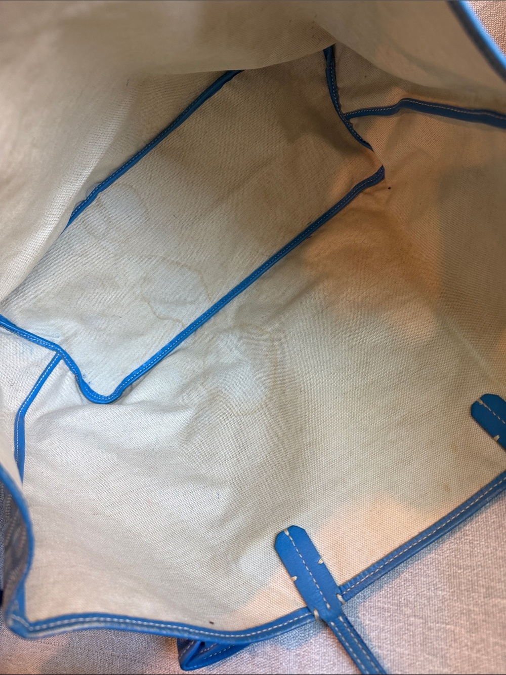 Goyard Saint Louis Tote PM - Sky Blue - Picture 6 of 10
